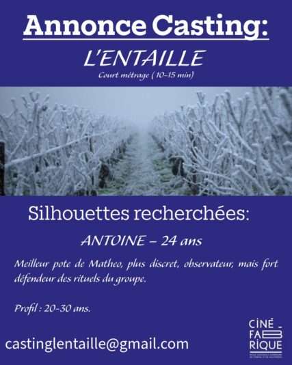 annonce casting 7