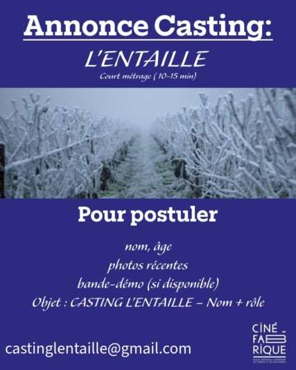annonce casting 8
