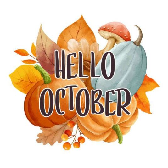 istockphoto-1340656227-612x612